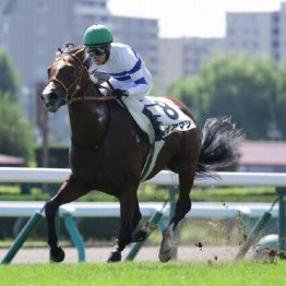 【大谷の土曜競馬コラム・京王杯２歳Ｓ】