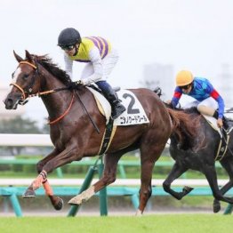 【橘の土曜競馬コラム・ファンタジーＳ】