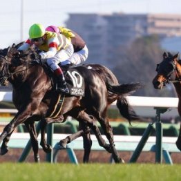 【東京本紙・外山の土曜東京10Ｒ】