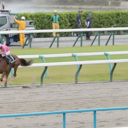 【藤岡の日曜競馬コラム・みやこＳ】