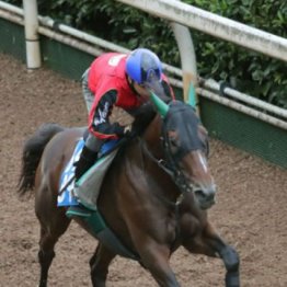 【市川の日曜競馬コラム・アルゼンチン共和国杯】