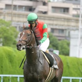 【大谷の日曜競馬コラム・アルゼンチン共和国杯】