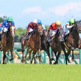 【橘の日曜競馬コラム・アルゼンチン共和国杯】