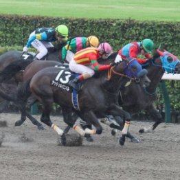 【東京本紙・外山の日曜東京10Ｒ】