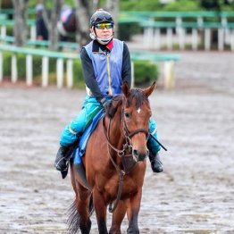 【アルゼンチン共和国杯】クロミナンス長距離シフトで安定、大崩れなし