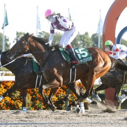 【みやこＳ】３歳馬サンライズジパングが差し切ってＪＲＡの重賞初制覇