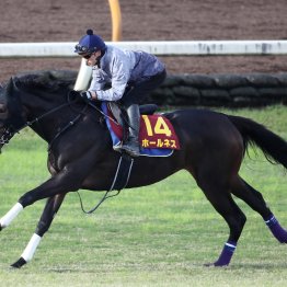 【エリザベス女王杯】大混戦なら格より勢い ６戦４勝ホールネスに一発ムード