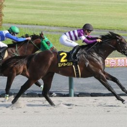 【マリナの土曜競馬コラム・武蔵野Ｓ】