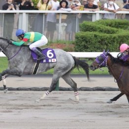 【飯島の土曜競馬コラム・奥羽Ｓ】