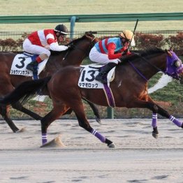 【武田の土曜競馬コラム・武蔵野Ｓ】