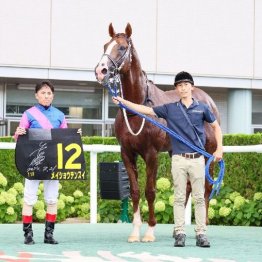 【橘の土曜競馬コラム・武蔵野Ｓ】