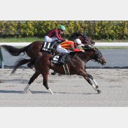 東京コースでこそ持ち味が生きる