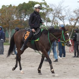 ２連勝へ