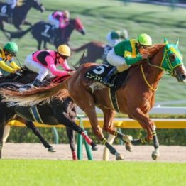 【飯島の日曜競馬コラム・ユートピアＳ】