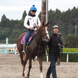 【木津の日曜競馬コラム・東京３Ｒ】