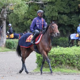 中心はレガレイラで不動