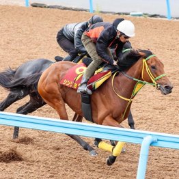 【エリザベス女王杯】◎シンリョクカで２週連続高目ツモ