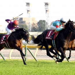 【東京スポーツ杯２歳Ｓ】枠順泣き笑い