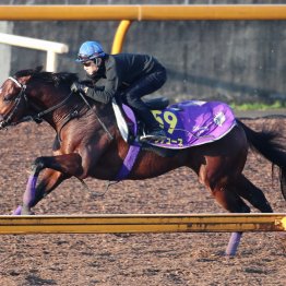 【ジャパンＣ１週前】ドウデュースまたまたケタ違いの脚を披露