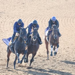 【マイルＣＳ】ブレイディヴェーグ〝静〟の追い切りでも前走時より明らかに良化