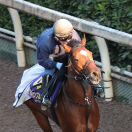 【マイルＣＳ】オオバンブルマイ飛んでくる