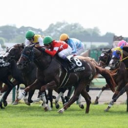 【飯島の土曜競馬コラム・キビタキＳ】