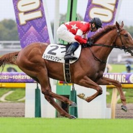 【新居の土曜競馬コラム・東京スポーツ杯２歳Ｓ】