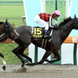 【橘の土曜競馬コラム・アンドロメダＳ】