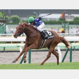 昨夏の函館で連勝