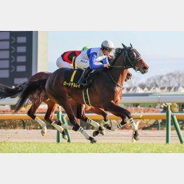 白富士Ｓ勝ちは新星誕生を思わせた