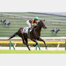 評判馬が揃った新馬戦を快勝