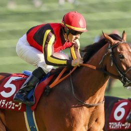 【市川の日曜競馬コラム・マイルチャンピオンシップ】