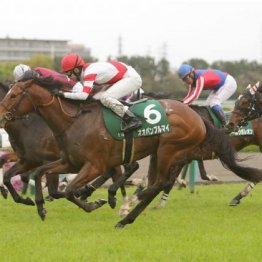 【大谷の日曜競馬コラム・マイルチャンピオンシップ】