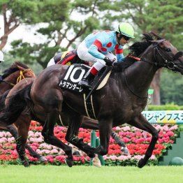 【東京本紙・外山の日曜東京10Ｒ】