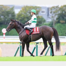 人馬一体の競馬を