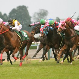 【京阪杯】過去１０年で６番人気以下が１５頭圏内入り