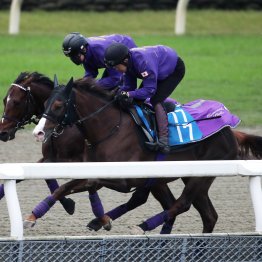 【ジャパンＣ】ドウデュース驚異の回復力で気配絶好