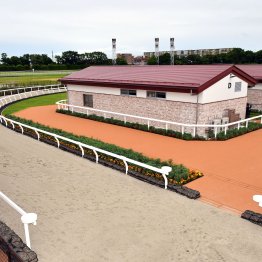 【ジャパンＣ】今年の外国勢は東京競馬場・国際厩舎の評判を上げられるのか──。