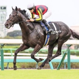 【市川の土曜競馬コラム・キャピタルＳ】