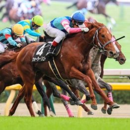 【大谷の土曜競馬コラム・キャピタルＳ】