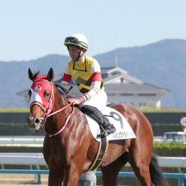 【播磨の土曜競馬コラム・栂尾特別】