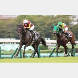 ３勝クラスは２戦で突破した