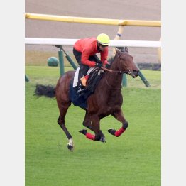 陣営も本気度満点！