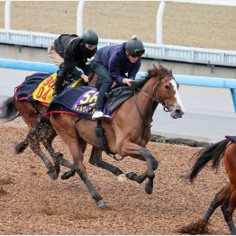 勝つための仕込みは完了