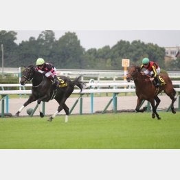 良血馬が今度は勝ち切る