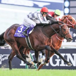 【ジャパンＣ】ドウデュースが着差以上の強さで秋ＧⅠ２勝目