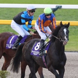 【ジャパンＣ】あまりにも違う欧州と日本の競馬