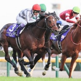 【ジャパンＣ】武豊ドウデュース　昨年は乗れなかった秋ＧⅠを連勝で鬱憤晴らし