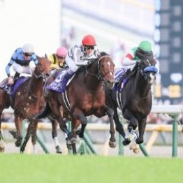 ＪＣ勝ちの伏線は昨年の有馬記念にあった