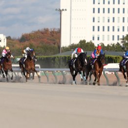 チャンピオンズＣはリピーターレース 今年は昨年の出走馬は８頭、この中に上位馬はいる！？